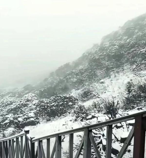 这几个地方下！雪！了！未来天气是……