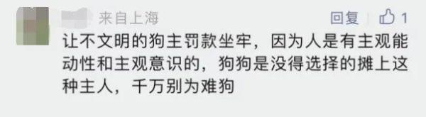 遛狗不拴绳还对孩子动手，突破了三重底线！