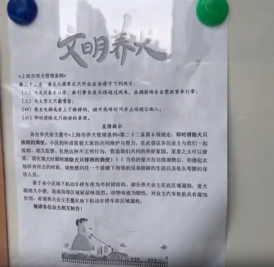 遛狗不拴绳还对孩子动手，突破了三重底线！