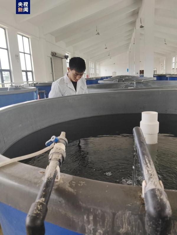 我国首次突破长鳍光唇鱼人工繁育技术