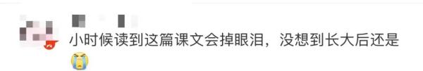 “这条小鱼在乎”刷屏了,背后的故事令人动容 “这条小鱼在乎”刷屏了,背后的故事令人动容