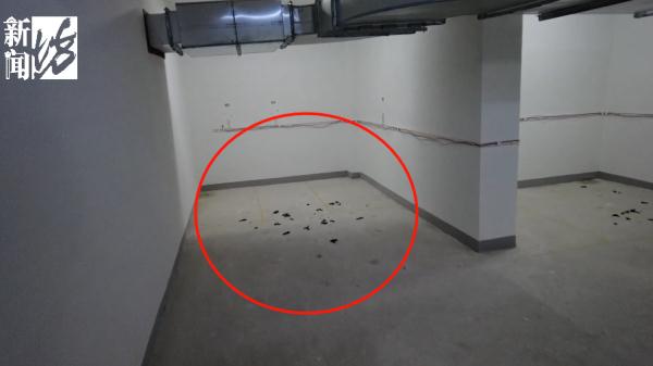 遛狗不拴绳还对孩子动手，突破了三重底线！