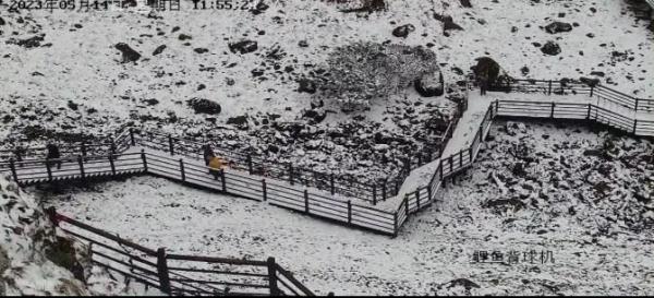 这几个地方下！雪！了！未来天气是……