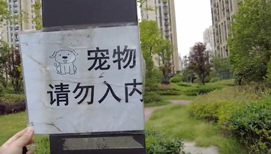 遛狗不拴绳还对孩子动手，突破了三重底线！