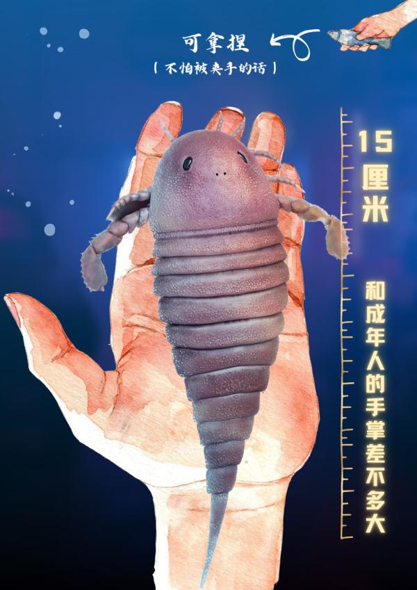 鲎（hòu）来，人们发现了4.5亿年前的海洋“萌系霸主”……