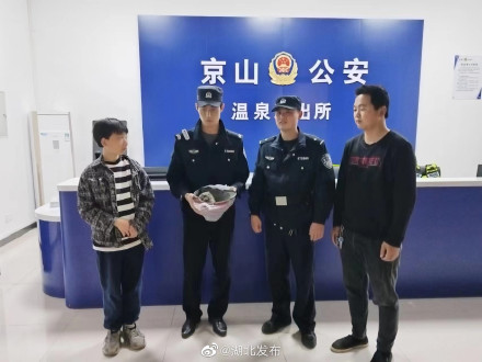 荆门好少年救助猫头鹰，民警点赞送奖状