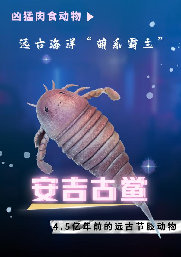 鲎（hòu）来，人们发现了4.5亿年前的海洋“萌系霸主”……