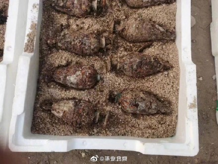村民院子里挖出102枚手榴弹