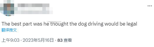 美国一司机涉嫌酒驾被交警拦截,与狗换位置想“避免被捕” 美国一司机涉嫌酒驾被交警拦截,与狗换位置想“避免被捕”