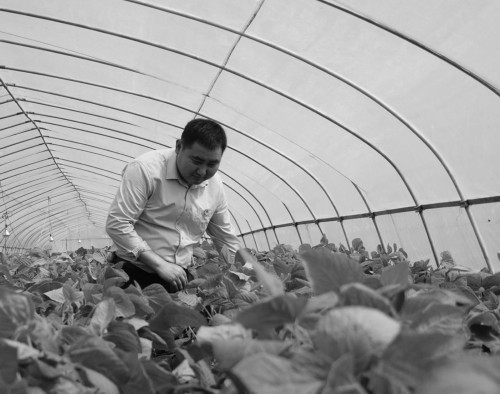 一条小青虫,让这村年增收300万