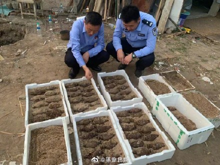 村民院子里挖出102枚手榴弹