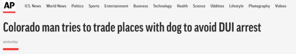 美国一司机涉嫌酒驾被交警拦截,与狗换位置想“避免被捕” 美国一司机涉嫌酒驾被交警拦截,与狗换位置想“避免被捕”