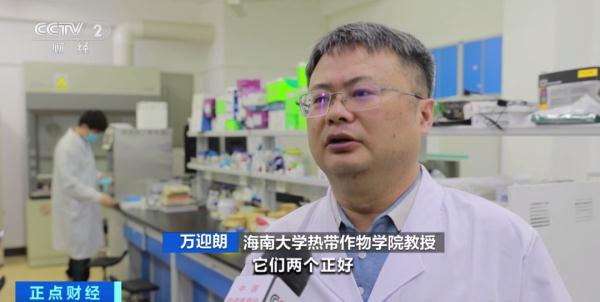 中国大陆，首次正式记录！
