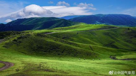 进入5月，新疆维吾尔自治区裕民县巴尔鲁克山好像披上了彩色外衣
