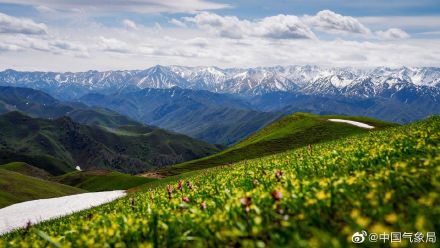 进入5月，新疆维吾尔自治区裕民县巴尔鲁克山好像披上了彩色外衣