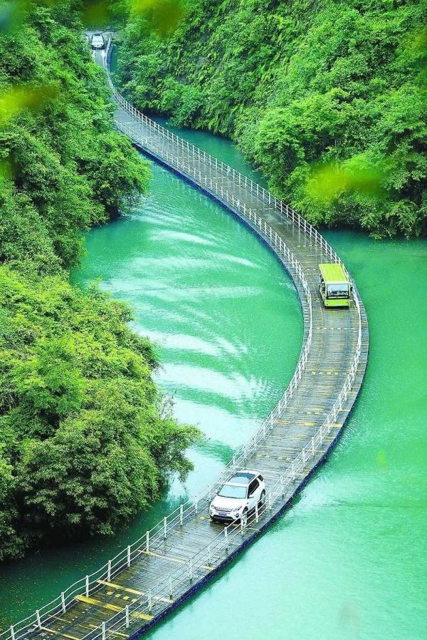 最新通报！“网红浮桥有车落水”5人死亡，景区暂停营业
