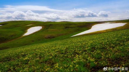 进入5月，新疆维吾尔自治区裕民县巴尔鲁克山好像披上了彩色外衣