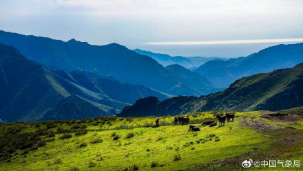 进入5月，新疆维吾尔自治区裕民县巴尔鲁克山好像披上了彩色外衣
