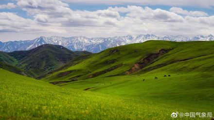 进入5月，新疆维吾尔自治区裕民县巴尔鲁克山好像披上了彩色外衣