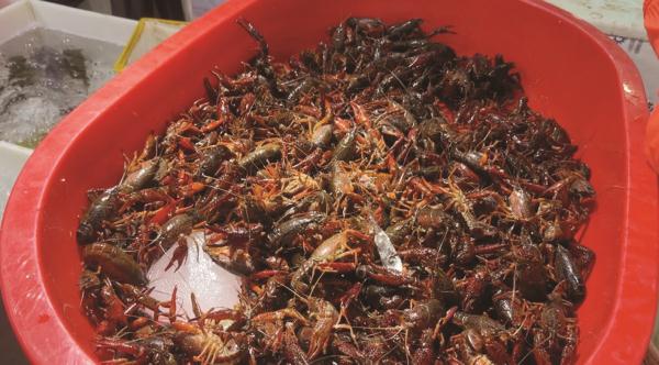 99元6斤!“夜宵顶流”小龙虾跌了 99元6斤!“夜宵顶流”小龙虾跌了