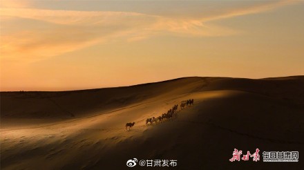 张掖沙漠公园驼铃悠扬迎客来