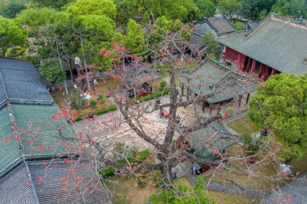 今明两天，这些统统免费！广州官宣