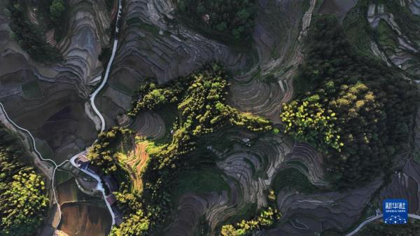 “瞰”梯田:水影天光紫鹊界 “瞰”梯田:水影天光紫鹊界