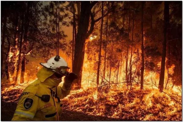 世界气象组织：未来五年间，全球气温将创下新纪录！