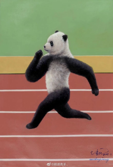 成都大运会这组运动熊猫图要火了