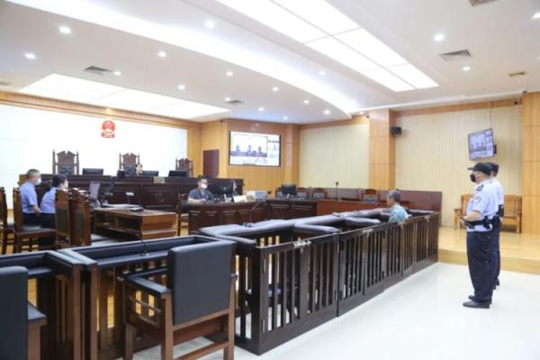 广西首例“碳汇”案当庭宣判，被告人主动缴纳“碳汇”赔偿金