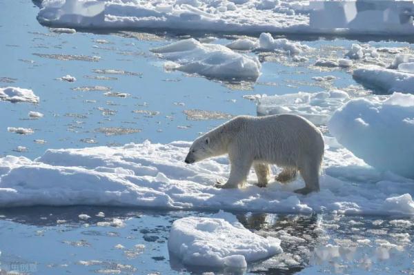 世界气象组织：未来五年间，全球气温将创下新纪录！