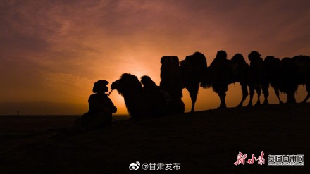 张掖沙漠公园驼铃悠扬迎客来