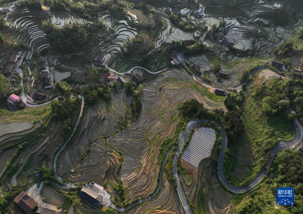 “瞰”梯田:水影天光紫鹊界 “瞰”梯田:水影天光紫鹊界