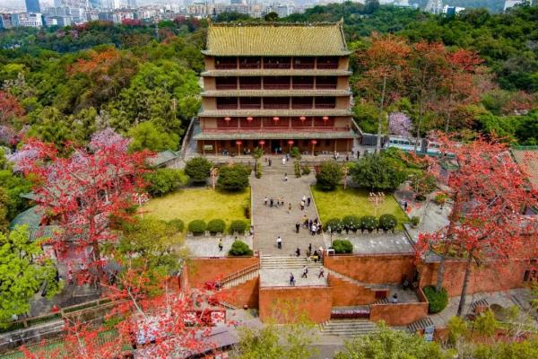 今明两天，广州这些地方免费开放