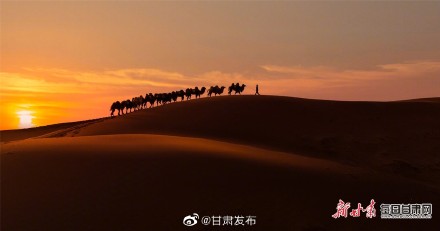 张掖沙漠公园驼铃悠扬迎客来