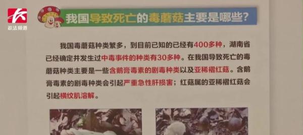 即将进入高发季,警惕这些剧毒种类 即将进入高发季,警惕这些剧毒种类