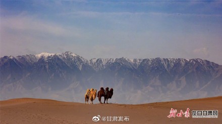 张掖沙漠公园驼铃悠扬迎客来