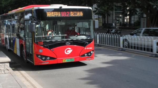 今明两天，这些统统免费！广州官宣