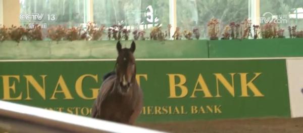 中国和土库曼斯坦通力合作为互利经贸合作开辟广阔前景