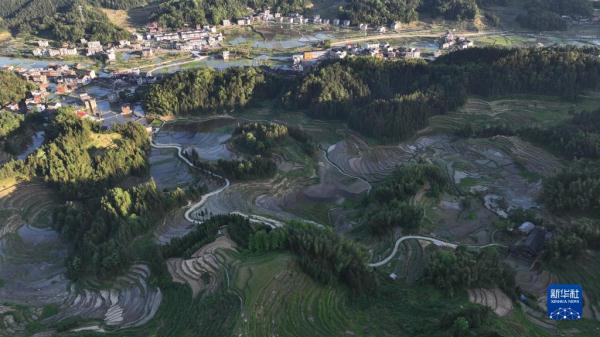 “瞰”梯田:水影天光紫鹊界 “瞰”梯田:水影天光紫鹊界