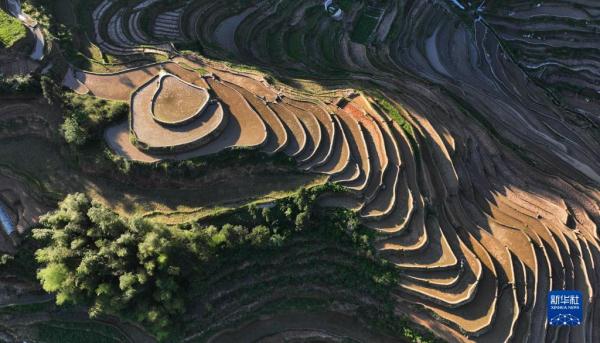 “瞰”梯田:水影天光紫鹊界 “瞰”梯田:水影天光紫鹊界