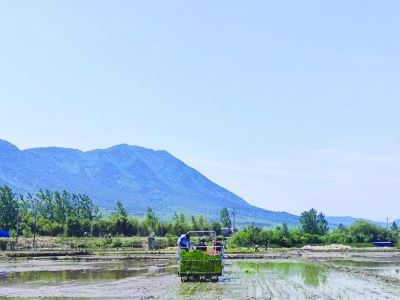 插秧也要仪式感 各地陆续“开秧门”