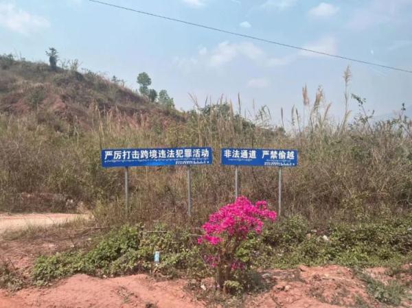 赎金明码标价35万元！缅甸“高薪务工”受骗者沦为交易筹码