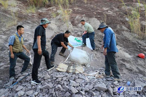 重大突破!福建上杭首次发现恐龙蛋 重大突破!福建上杭首次发现恐龙蛋