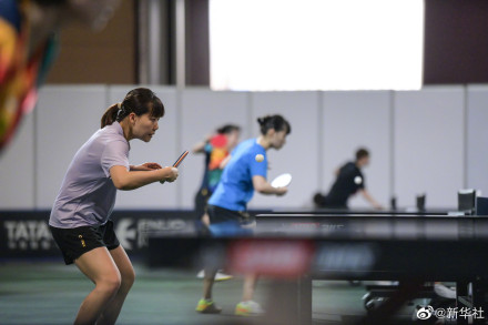 樊振东陈梦马龙等备战德班世乒赛 樊振东陈梦马龙等备战德班世乒赛