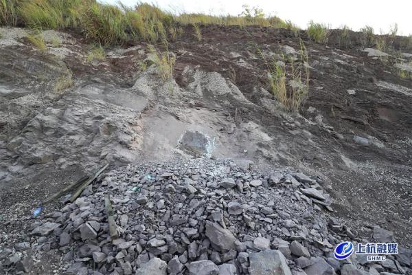 重大突破!福建上杭首次发现恐龙蛋 重大突破!福建上杭首次发现恐龙蛋