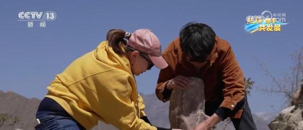 在常来常往中 中国与中亚国家人民心更近、情更深