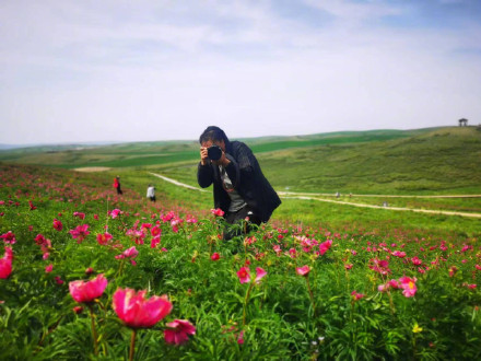美得像壁纸!边境线上芍药谷花开正艳 美得像壁纸!边境线上芍药谷花开正艳