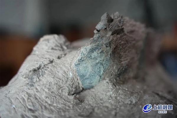 重大突破!福建上杭首次发现恐龙蛋 重大突破!福建上杭首次发现恐龙蛋