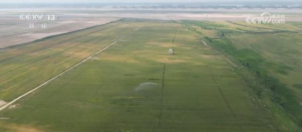 守好丰收“防线” 河南各级农业部门多措并举确保220万亩小麦丰产